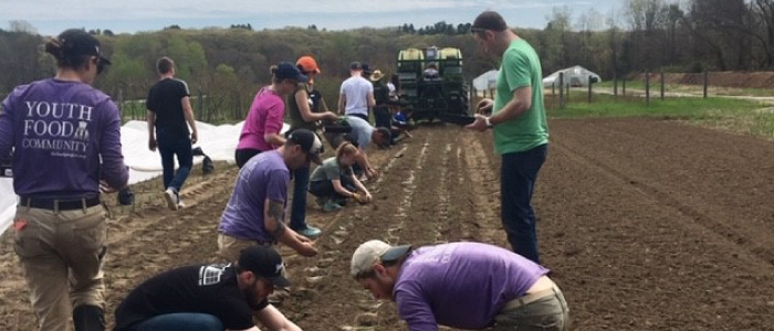 Planting