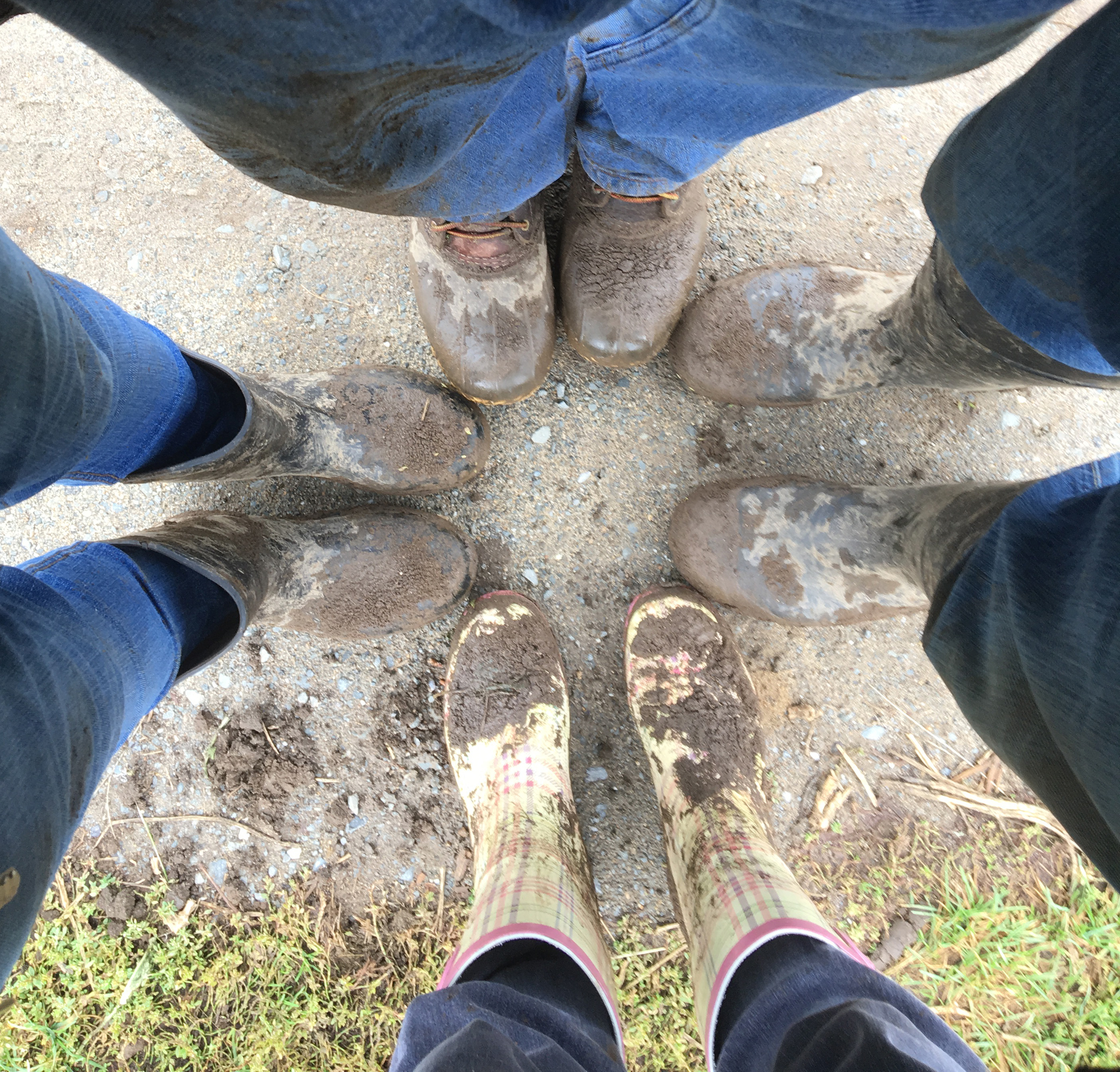 The Food Project muddy boots
