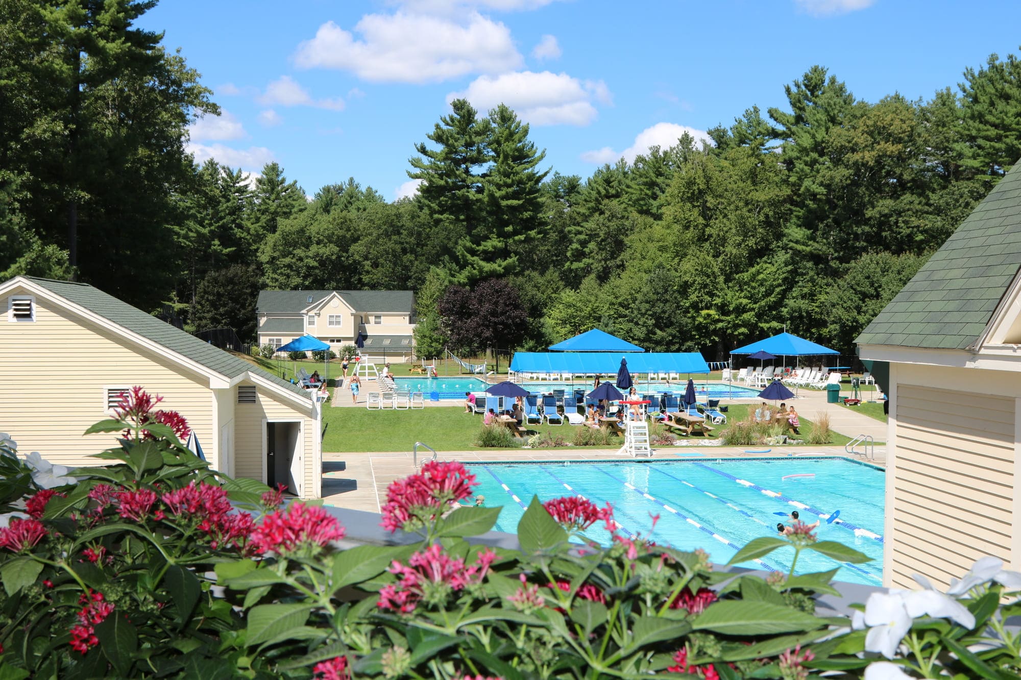 Thoreau Club
